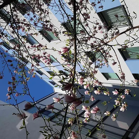 City-west Berlín